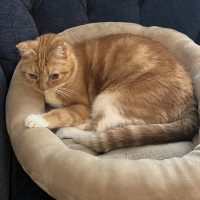 Millie 2.jpeg (1019 KB)